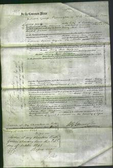 Court of Common Pleas - Mary Ann Simpson-Original Ancestry
