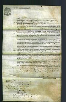 Court of Common Pleas - Charlotte Curry Coffin-Original Ancestry
