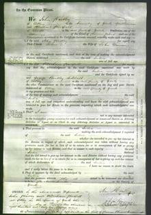Court of Common Pleas - Julia Dawson-Original Ancestry
