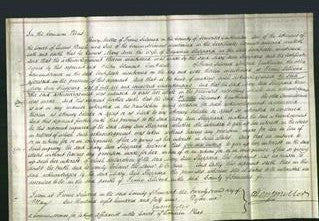 Court of Common Pleas - Mary Ann Sheppard-Original Ancestry