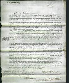 Court of Common Pleas - Elizabeth Mumford-Original Ancestry