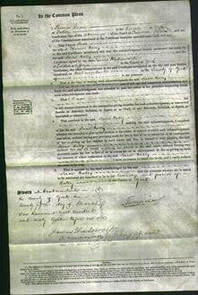 Court of Common Pleas - Jane Haley-Original Ancestry