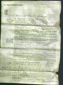 Court of Common Pleas - Mary Jenkins-Original Ancestry