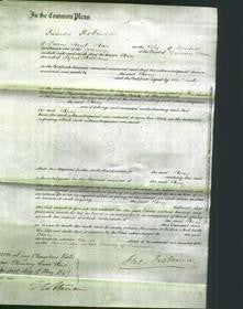 Court of Common Pleas - Mary Mallalieu