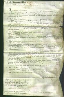 Court of Common Pleas - Maria Lees-Original Ancestry