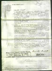 Court of Common Pleas - Mary Boulcott-Original Ancestry