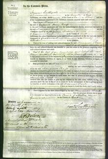 Court of Common Pleas - Marianne Sharp-Original Ancestry