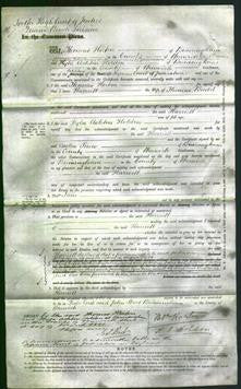 Court of Common Pleas - Harriett Budd-Original Ancestry