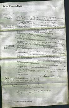 Court of Common Pleas - Martha Toyer-Original Ancestry