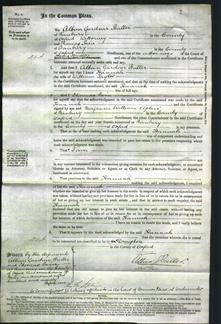 Court of Common Pleas - Hannah Taylor-Original Ancestry