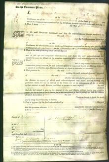 Court of Common Pleas - Joan Jenkins-Original Ancestry
