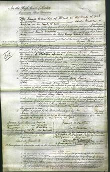 Court of Common Pleas - Mary Sewed-Original Ancestry