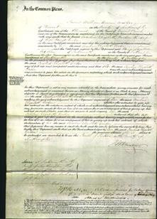 Court of Common Pleas - Caroline Elizabeth Gordon-Original Ancestry