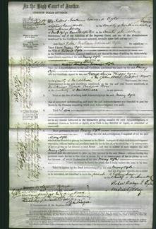 Court of Common Pleas - Mary Ogle-Original Ancestry