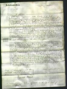 Court of Common Pleas - Mary Susanna Goldthorp and Elizabeth Bates-Original Ancestry