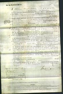 Court of Common Pleas - Patience Smith and Selina Rubry-Original Ancestry