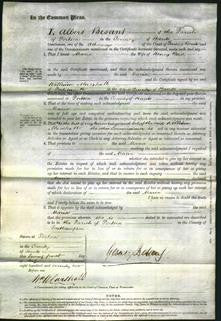 Court of Common Pleas - Maria Reed-Original Ancestry