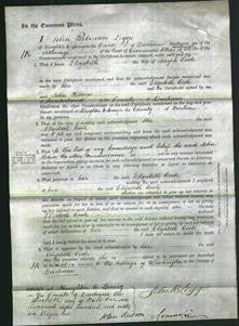 Court of Common Pleas - Elizabeth Cook-Original Ancestry