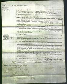 Court of Common Pleas - Eliza Minithorpe-Original Ancestry