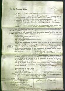 Court of Common Pleas - Sarah Brown