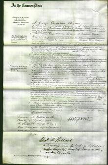 Court of Common Pleas - Eliza Rebecca Raymond-Original Ancestry