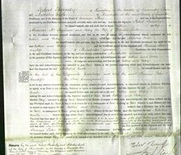 Court of Common Pleas - Esther Mc Ilquham and Betsy Ludlow-Original Ancestry