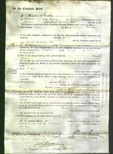 Court of Common Pleas - Grace Illman-Original Ancestry