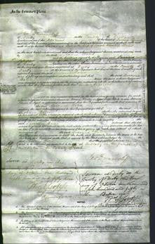 Court of Common Pleas - Susanna Bates-Original Ancestry