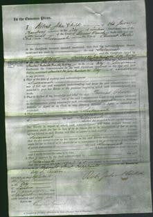 Court of Common Pleas - Susannah Poole-Original Ancestry