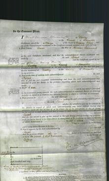 Court of Common Pleas - Sarah Samworth-Original Ancestry