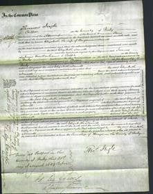 Court of Common Pleas - Elizabeth Morrill-Original Ancestry