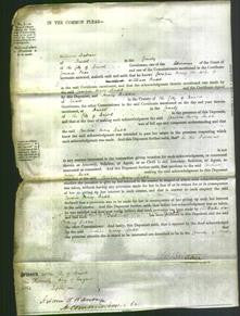 Court of Common Pleas - Caroline Mary Budd-Original Ancestry