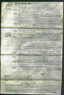 Court of Common Pleas - Sophia Snelling and Maria Brewster-Original Ancestry