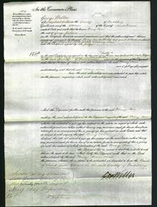 Court of Common Pleas - Mary Ann Jackson-Original Ancestry