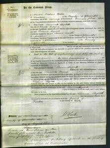 Court of Common Pleas - Susanna Elizabeth Cadogan-Original Ancestry