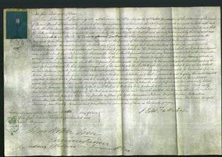 Court of Common Pleas - Elizabeth Mabbot-Original Ancestry