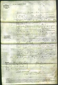Court of Common Pleas - Mary Coates Bellamy-Original Ancestry
