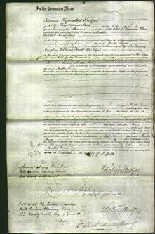 Court of Common Pleas - Martha Jones-Original Ancestry