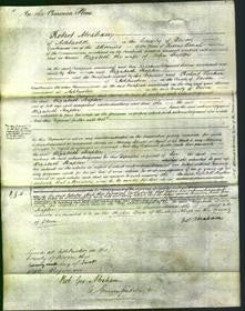 Court of Common Pleas - Elizabeth Shapter-Original Ancestry