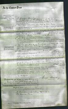 Court of Common Pleas - Martha Toyer-Original Ancestry