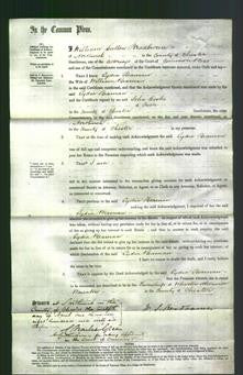 Court of Common Pleas - Lydia Beaman-Original Ancestry