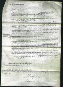 Court of Common Pleas - Ann Armitage-Original Ancestry