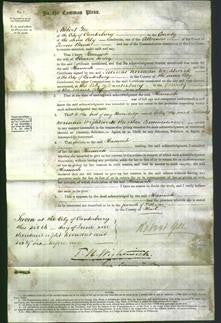 Court of Common Pleas - Hannah Turley-Original Ancestry