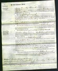 Court of Common Pleas - Sophia Susannah Meers-Original Ancestry