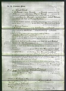Court of Common Pleas - Mary Ann Hannah Robinson and Sarah Goodwin-Original Ancestry