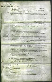 Court of Common Pleas - Janet Beich-Original Ancestry