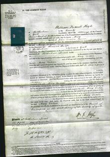 Court of Common Pleas - Mary Dobson-Original Ancestry