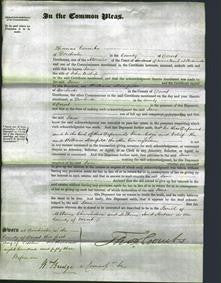 Court of Common Pleas - Jane Bishop-Original Ancestry