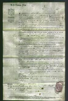 Court of Common Pleas - Charlotte Souster, Caroline Collier and Jane Hutson-Original Ancestry