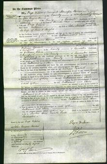 Court of Common Pleas - Catharine Newall and Ann Hughes-Original Ancestry